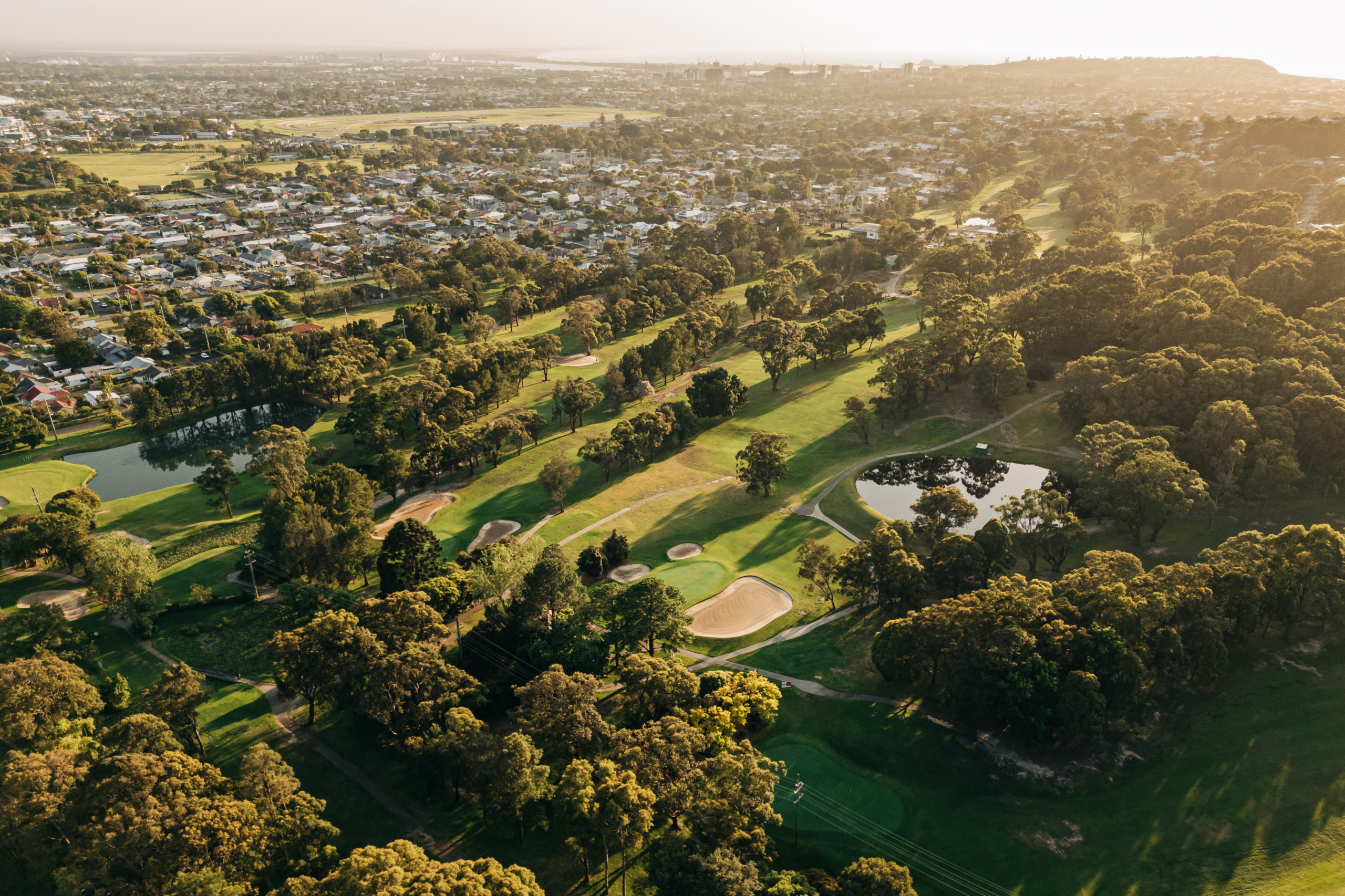 MCG (30-10-24) – High Res-8