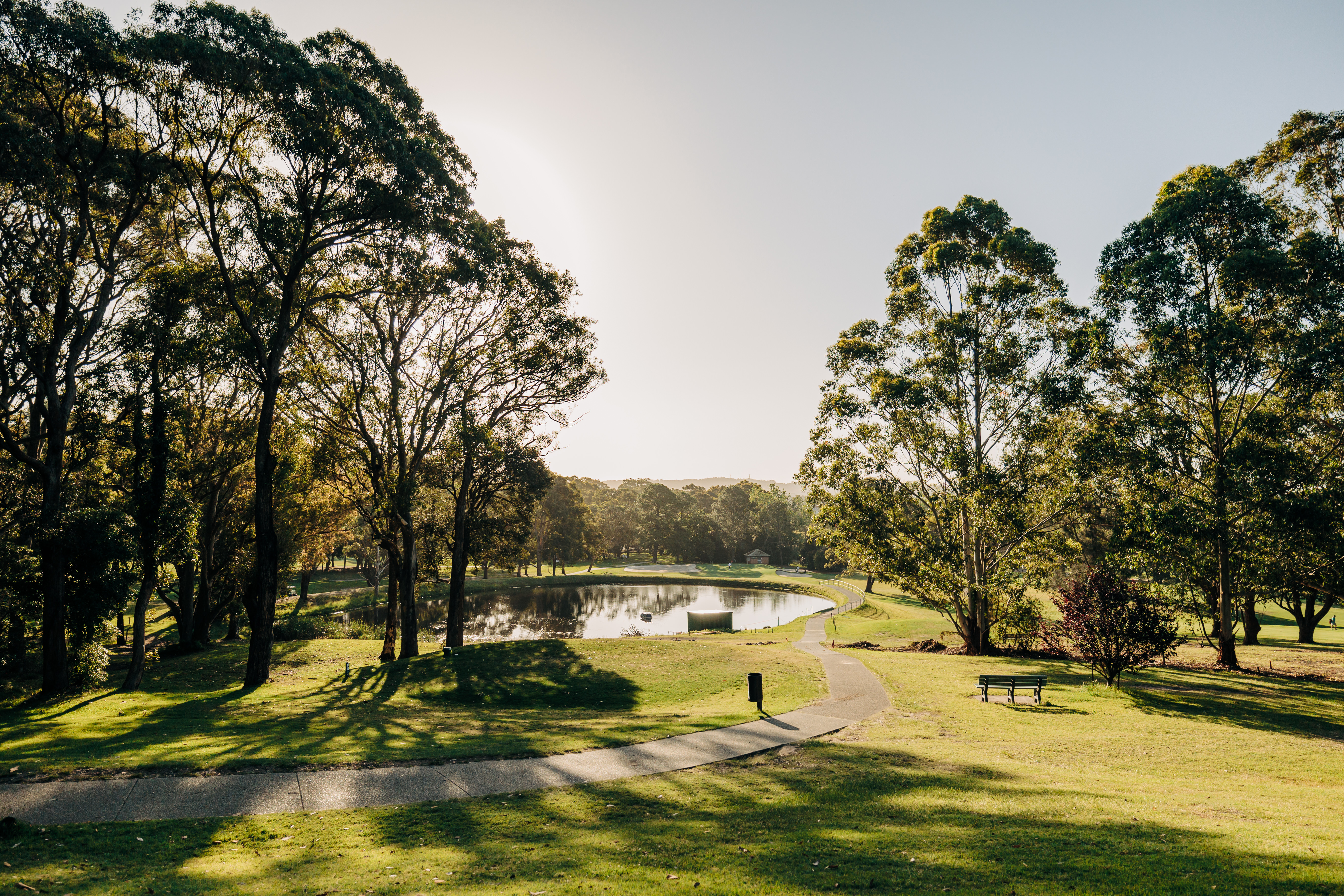 MCG (30-10-24) – High Res-53